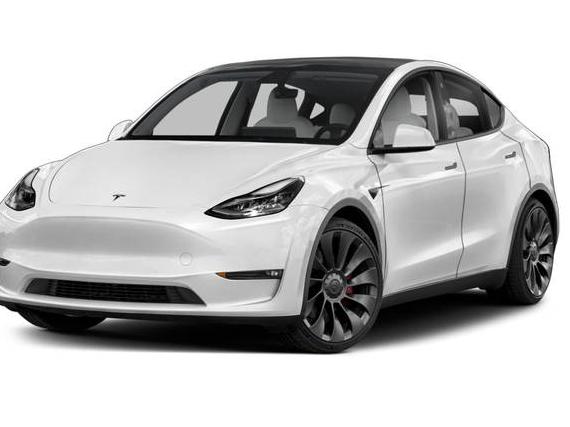 TESLA MODEL Y 2021 5YJYGDEF8MF258728 image